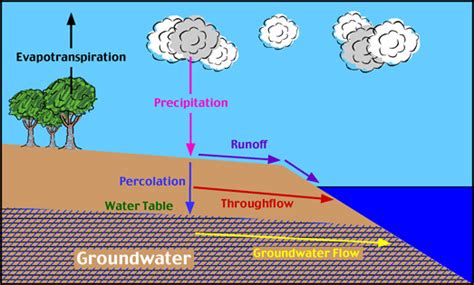 throughflow  groundwater storage water cycle water movement