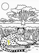 Cheetah Chester Printable Momjunction sketch template