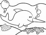 Narwhal Pages Coloring Cute Printable Starfish Cartoon Sea Kids sketch template