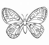 Kidss Schmetterling sketch template