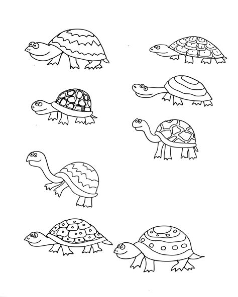 lots  turtles coloring page coloring books turtle coloring pages