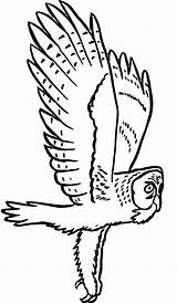 Owl Coloring Pages Printable Kids Bestcoloringpagesforkids sketch template