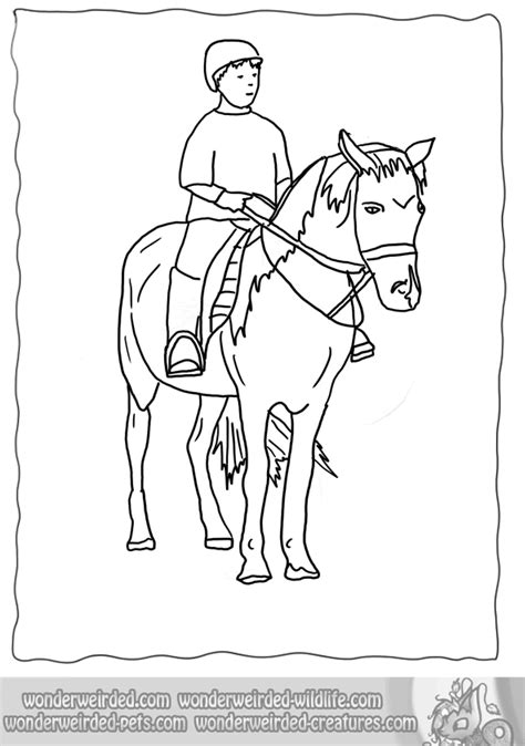 horse riding coloring page  file svg png dxf eps