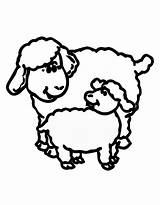 Sheep Lamb Coloring Outline Lion Pages Drawing Clipart Color Clip Printable Realistic Template Getdrawings Cliparts Cute Print Clipartmag Library Getcolorings sketch template