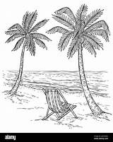 Paesaggio Disegno Spiaggia Palme Tropicale Palma Estivo Disegnare Onde Esotica Alberi Rilassante Esotici Salva sketch template