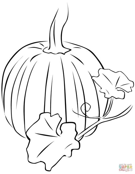 pumpkin  leaves coloring page  printable coloring pages