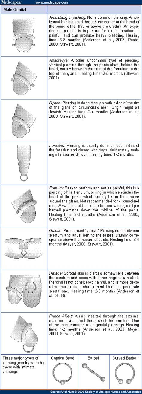 genital piercings what is known what people with them tell us