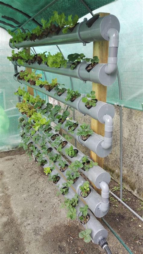 hydroponic system nft    set hydroponics diy