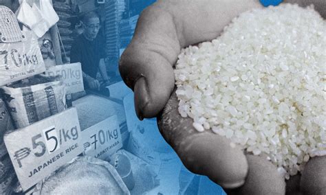 rice crisis looms kamote  alternatives pushed inquirer news