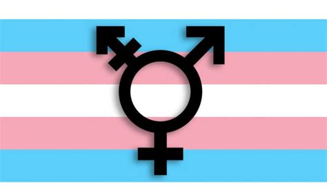 was ist transsexualität was ist transidentität was ist trans was