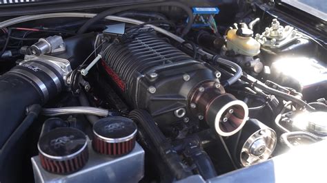 whipple supercharged terminator ford mustang  rips video