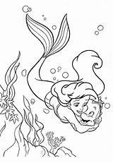 Ariel Sereia Pequena Sirenita Gratistodo Pinta Flounder Voltar Páginas Colorings sketch template