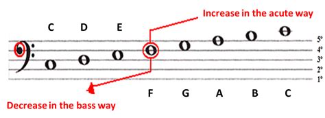 bass clef sheet  simplifying theory