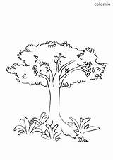 Baum Tree Malvorlage Shrubbery Vorlage Malen sketch template