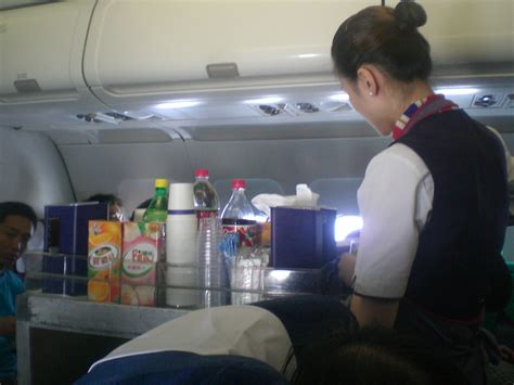 ファイル xian china eastern airlines aircraft cabins n flight attendant n airline meal services