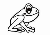 Frog Coloring Frogs Coqui Pages Color Printable Kids Drawing Clipart Easy Cartoon Tree Cliparts Print Sheets Use Clipartmag Cute Life sketch template