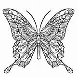 Mandala Coloring Pages Butterfly Printable Adult Adults Insect Colouring Color Sheets Flower Books Kids Book Fairy Zentangle Peaksel Save Bible sketch template
