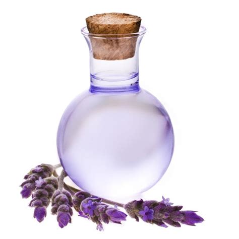 skincare benefits  lavender oil iskincarereviews