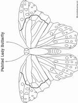 Butterfly Painted Lady Enchantedlearning Printouts Enchanted Learning Estimate Subscribers 2nd 1st Grade Level Activities sketch template