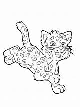 Coloring Cheetah Pages Cub Baby Cute Little Color Running Happy Drawing Realistic Step Printable Kids Print Nike Shoes Animals Getcolorings sketch template
