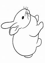 Coniglio Disegno Conigli Coniglietto Coniglietti Pianetabambini Stampare Animali Pasquali Ritagliare sketch template