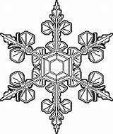 Snowflake Coloring Lace Wecoloringpage sketch template