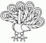 Peacock Coloring Pages Color Print Coloring2print sketch template
