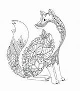 Fox Arctic Coloring Pages Getdrawings sketch template