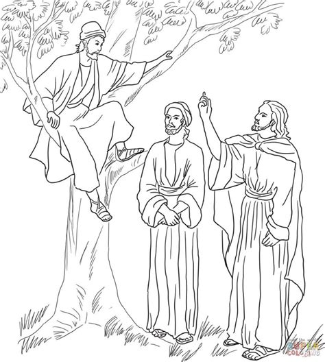 printable zacchaeus tree coloring pages  kids coloring pages