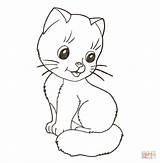 Kitten sketch template