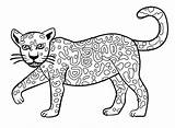 Jaguar Drawing Coloring Easy Pages Vector Animal Sketch Drawings Cartoon Clipartmag Clipart Paw Getdrawings sketch template