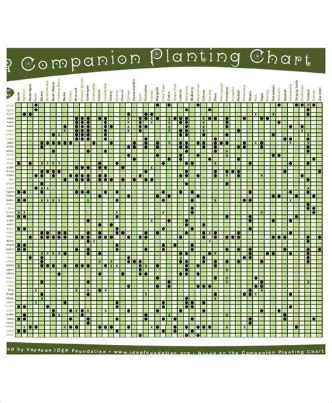 companion planting chart   excel  documents