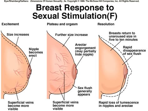 breast stimulation sex porno amatuer squirtle