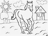Pferde Pferd Ausmalbild Hunde Ausmalen Pferdebild Viele Verwandt Kinderbilder Pferden Nummer sketch template