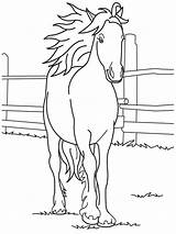Horse Coloring Pages Printable Kids Horses Color Baby Print Friesian Quarter Sheets Girls Drawing Barbie Colorear Para Cute Caballos Getcolorings sketch template