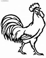 Rooster Coloring Pages Getdrawings sketch template
