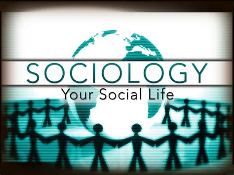 sociology ii  social life edynamic learning