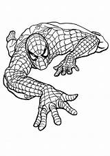 Coloring Pages Spiderman sketch template