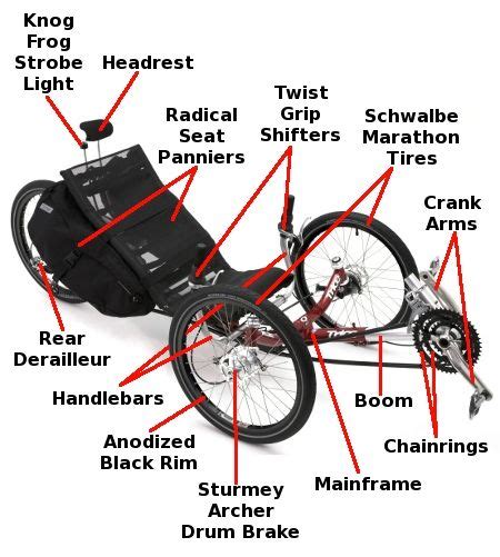 anatomy trike bicycle bike custom bikes