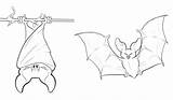 Bats Bat Coloring Printable Pages Cute Kids Draw Drawings Drawing Halloween Print Sheets Vampire Flying Clip Colouring Animal Step Fruit sketch template