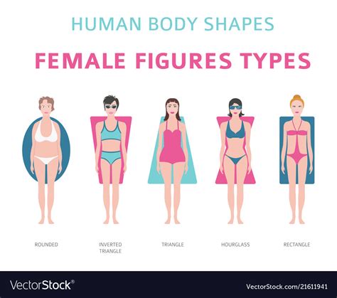 Human Body Shapes Female Figures Types Set Vector Image