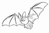 Bat Coloring Drawing Line Color Pages Pallid Bats Activities Getdrawings sketch template