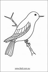 Birds sketch template
