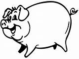 Pig Color Coloring Pages Animals Colouring Printable sketch template