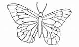 Motyl Kolorowanka Motyle Szablon Kolorowanki Dla Wydruku Motylki Druku Motyla Pobrania Wyciecia Kreatywnie Kolorowania Rysunki Wydrukowania Wzory Moje Zwierząt sketch template
