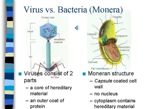 nasa pt  human dna change nucleus nuclear molecules