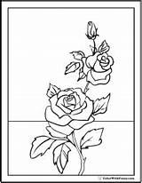 Coloring Rose Pages Flower Flowers Pdf Printable Drawing Lily Rosebud Color Outline Pretty Beautiful Roses Colorwithfuzzy Print Drawings Buds Printables sketch template