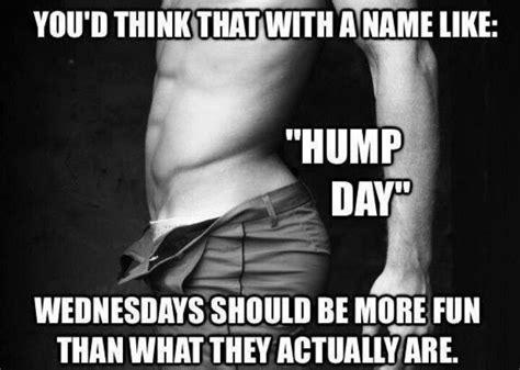 funny wednesday quotes hump day quotes wednesday hump day hump day
