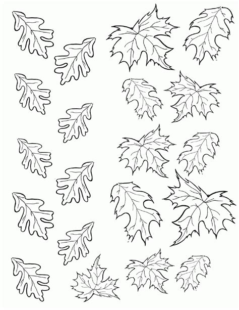 coloring pages  leaves
