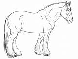 Horse Lineart Shire Coloring Horses Drawings Line Realistic Drawing Pages Template Deviantart Sketch Side Outline Clydesdale Google Warmblood Gaited Templates sketch template